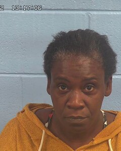 Mugshot of FIKES, EDRIS