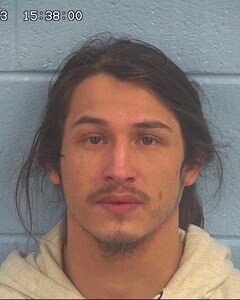 Mugshot of AVILA, IVAN