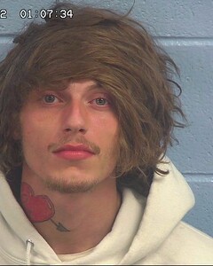 Mugshot of WHITLOCK, CHRISTIAN