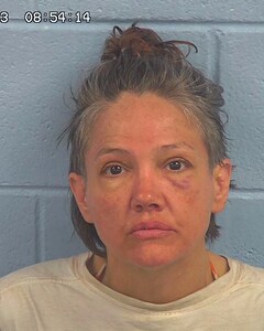 Mugshot of DAVIDSON, CYNTHIA