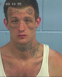 Mugshot of WHISENANT, MARK