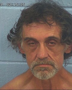 Mugshot of DAVIS, KIM