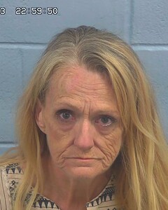 Mugshot of WILLETT, VICKY