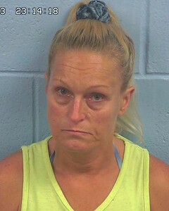Mugshot of MCGUIRE, TAMMY