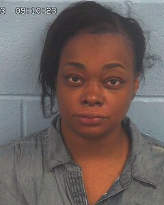 Mugshot of WILSON, FLORISHA