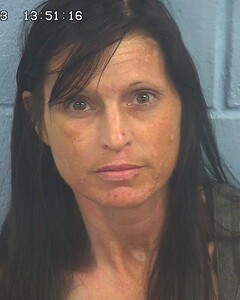 Mugshot of HANSON, STACY