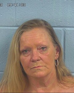 Mugshot of WILLIAMSON, NITA