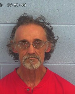 Mugshot of DAVIS, KIM