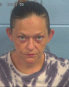 Mugshot of MOUNT, DIXIE