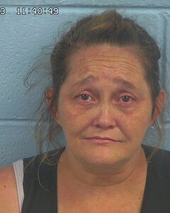 Mugshot of RICHARDSON, BRANDI