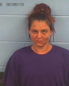 Mugshot of STEINBURG, KAYLEA