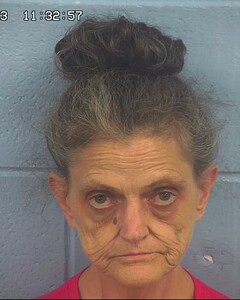Mugshot of STEPLETON, DIANE