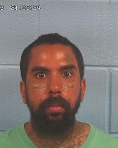 Mugshot of TUBERVILLE, DEREK