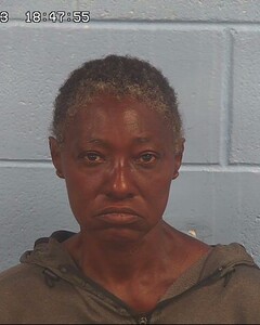 Mugshot of COLLINSRANSAW, KIMBERLY