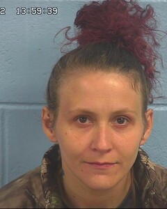 Mugshot of ALFORD, ASHLEY