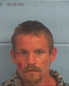 Mugshot of PARKS, BOBBY