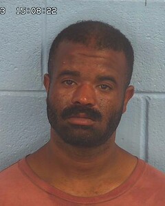 Mugshot of MINSON, DEVAN