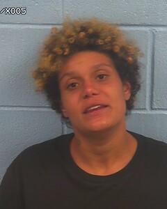 Mugshot of WILSON, BREANNA