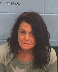 Mugshot of PIPPIN, KIMBERLY
