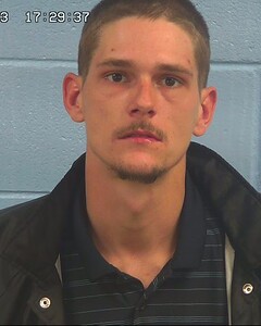 Mugshot of NELSON, GAVIN