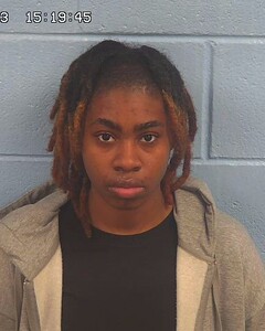 Mugshot of WILLIAMS, BRITTANIE  