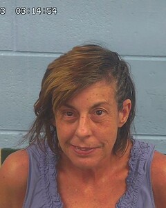 Mugshot of JACOBS, THERESA