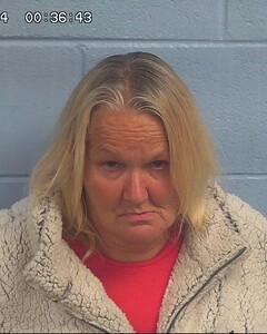 Mugshot of ARMSTRONG, SHERRIE  