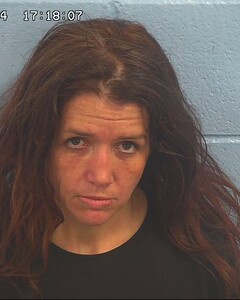 Mugshot of SMITH, TERI  