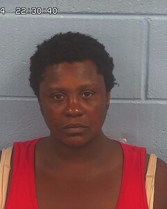 Mugshot of SMITH, ANNETTE  