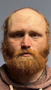 Mugshot of GREEN, LARRY