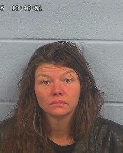 Mugshot of PATTERSON, PRISCILLA