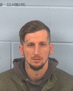 Mugshot of PALMER, CODY