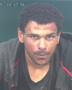 Mugshot of WILLIAMS, SANDY