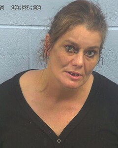Mugshot of COX, DANA