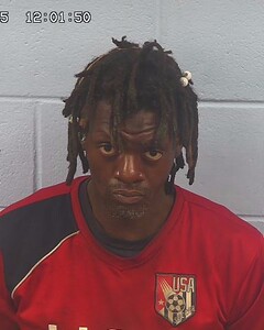 Mugshot of RAY, ROBERT  